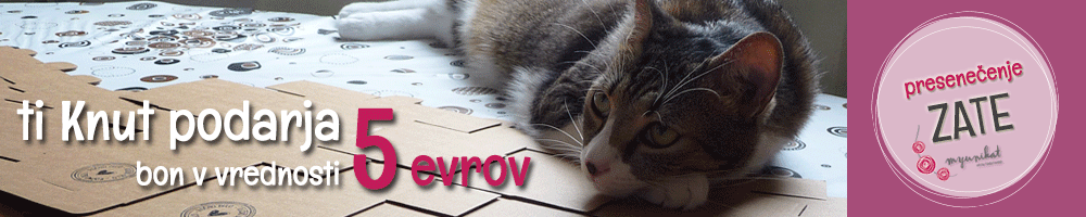 Naslovna_bon