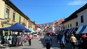 Sejem Narodne nose, Kamnik_myunikat_TjasaVodeb_04